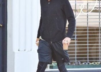 descubre todas las bondades sobre el romero y para que sirve