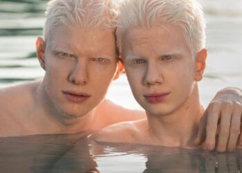 el te de hoja de mango ayuda a combatir 9 enfermedades