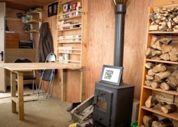 Verdolaga: el superalimento subestimado con los máximos beneficios para la salud