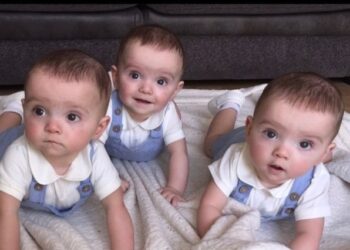 BIZCOCHO DE ZANAHORIA CON CREMA Y NUECES