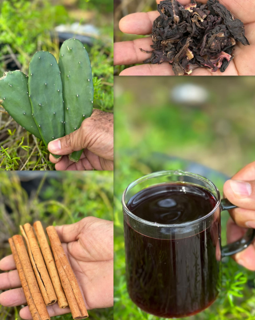 Elixir Natural: Nopal, Jamaica y Canela para una Salud Renovada Elixir Natural: Nopal, Jamaica y Canela para una Salud Renovada
