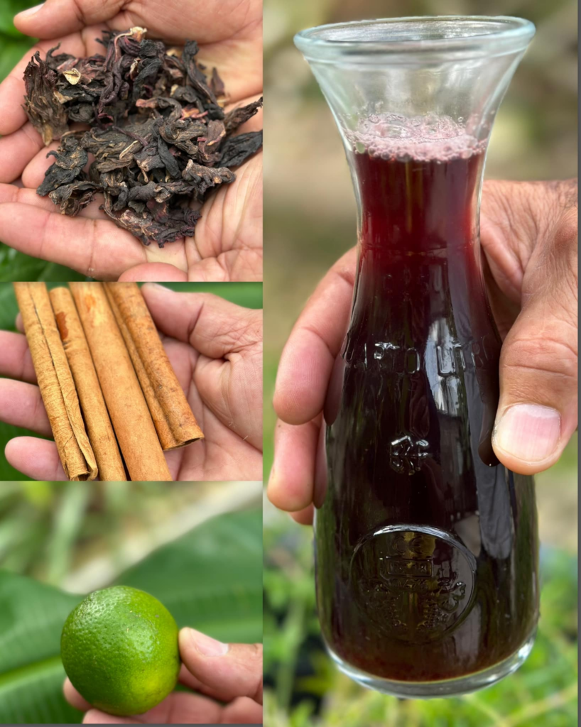 Té de Flor de Jamaica con Canela y Limón: Beneficios, Propiedades y Cómo Prepararlo