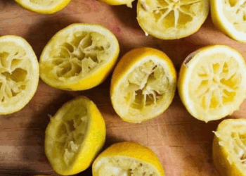 desde hoy no tires la cascara de los limones mira esto