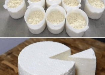 muy facil de queso casero fresco paso a paso aqui