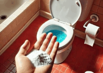 con este solo ingrediente dejaras tu inodoro como nuevo