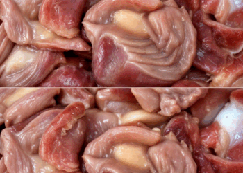 Tres cosas que quizás no sabías de las mollejas de pollo